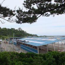 葉山しおさい公園から見た一色海水浴場と、建築中の海の家