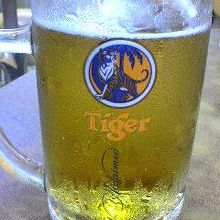 タイガービール（生）
