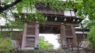 散歩に適した公園