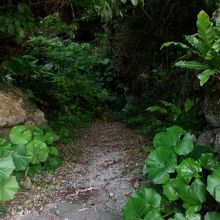 白梅学徒看護隊之壕、入口。