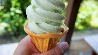 意外なわさびソフトクリーム