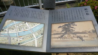 写真はボケてしまいました！