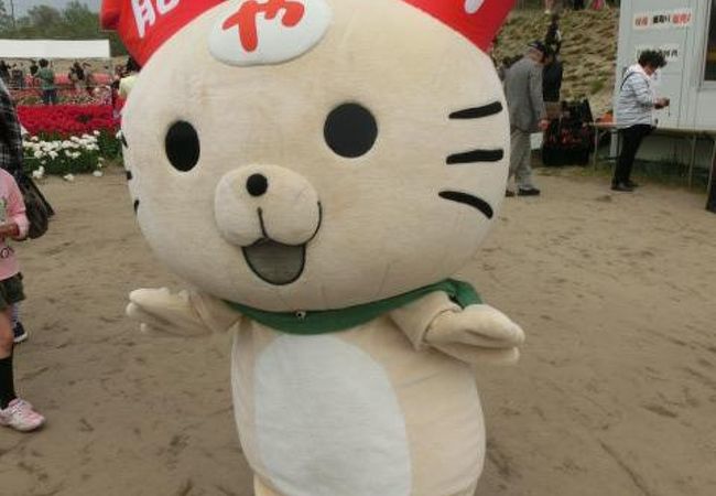 胎内市チューリップフェスティバル21 クチコミ アクセス 営業時間 新発田 胎内 フォートラベル 胎内市チューリップフェスティバル21 クチコミ アクセス 営業時間 新発田 胎内 フォートラベル