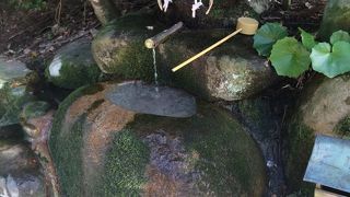 女性にお勧めのパワースポット！