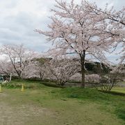 中国地方屈指の桜の名所