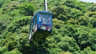 錦帯橋と岩国城のセット券