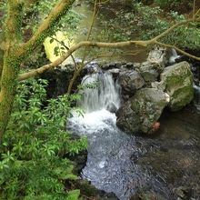 渓流に沿ってハイキング