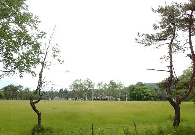 吹上高原キャンプ場