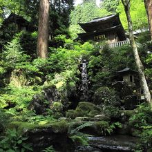 自然に包まれる不動堂