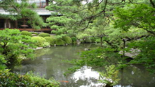 日本庭園が楽しめます