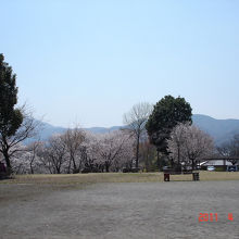 桜川公園の風景