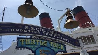 息子が亀と話してる？