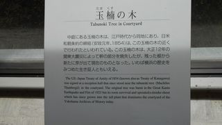 入場料無料の日でした～