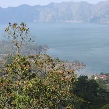 Lake Batur