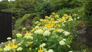 あじさい苑とセットで100円お得に