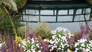 緑がたくさんです