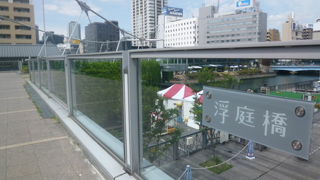 緑に覆われた橋です！