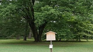 藤原道長の住んでた大邸宅跡