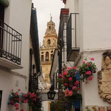 花の小道1　ミナレットが顔を出してます