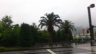 海辺の広い公園