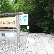 森の中に降りていく感じ。