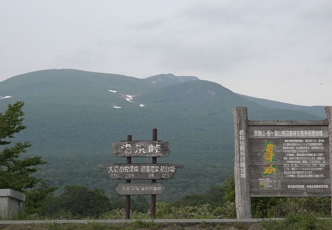 栗駒山ビュースポット