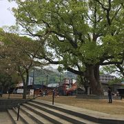 「寺もないのに大徳寺」