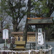 阿蘇神社の境内にあります