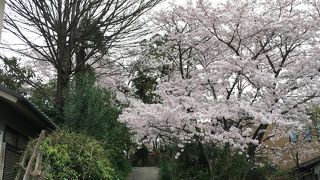 ひっそりとしていました