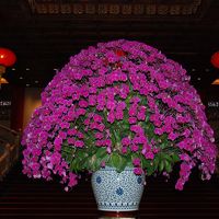 ロビーの中央には豪華な花があります