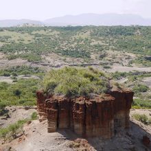 ホモ ハビリスの頭蓋骨が発見された渓谷 By 猫大好き オルドバイ峡谷のクチコミ フォートラベル ホモ ハビリスの頭蓋骨が発見された渓谷 By 猫大好き オルドバイ峡谷のクチコミ フォートラベル
