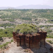 ホモ ハビリスの頭蓋骨が発見された渓谷 By 猫大好き オルドバイ峡谷のクチコミ フォートラベル