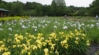 気軽に楽しめる公園