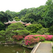 正面の木の橋と中島