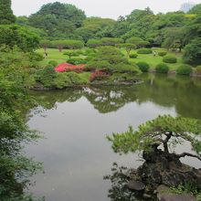 旧御涼亭から中島を眺める