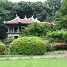 池の側にある藤棚と旧御涼亭