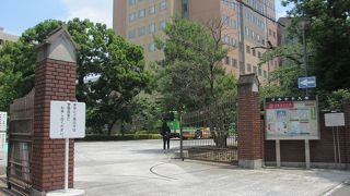 ドラマで注目されてます