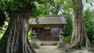 崇道神社