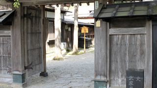 緑に癒されました