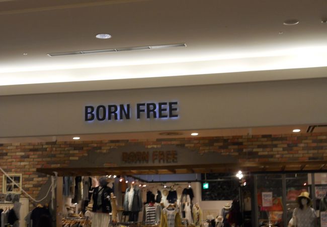 Born Free イオンモール草津店 クチコミ アクセス 営業時間 草津 滋賀 フォートラベル