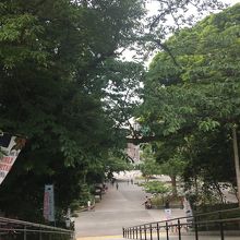 とても広いです。