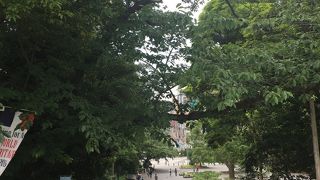 初めての上野恩賜公園。