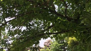 360度も回転するコースター By V Junjun レイジングスピリッツのクチコミ フォートラベル
