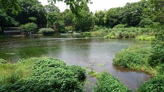 伏流水だけの大河