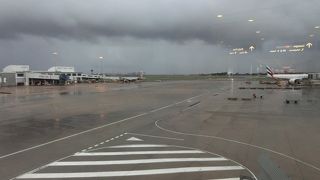 E-passがあるのにアンケートを3枚も書きました