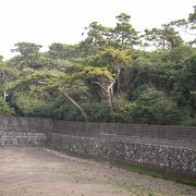 日本庭園