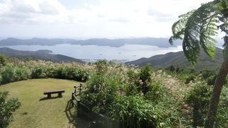 油井岳やマネン崎からの展望がいいです