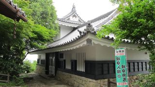 「さざれ石」が展示してある。