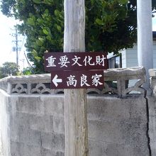 島のメイン通りを歩いていると見かけます