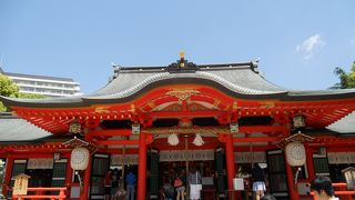 見ごたえたっぷり！